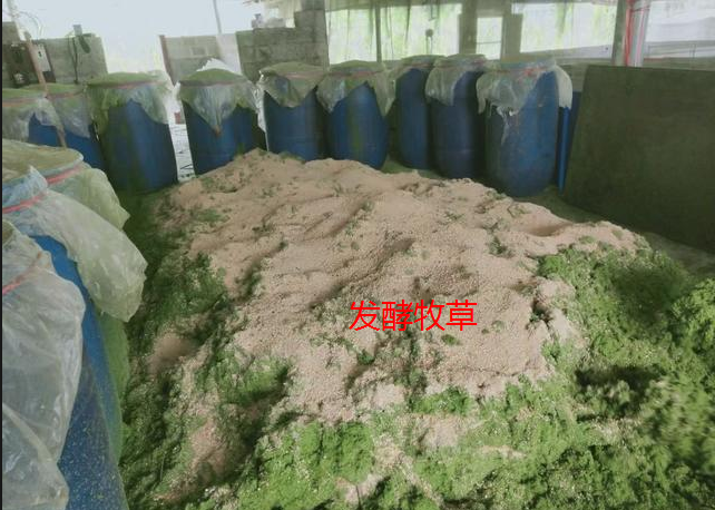 截图20250814094351.png 截图20250814094351.png