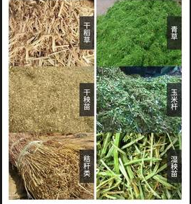 截图20260305093505.png 截图20260305093505.png