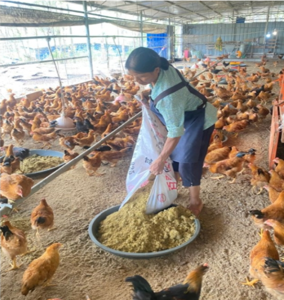 截图20260305094637.png 截图20260305094637.png