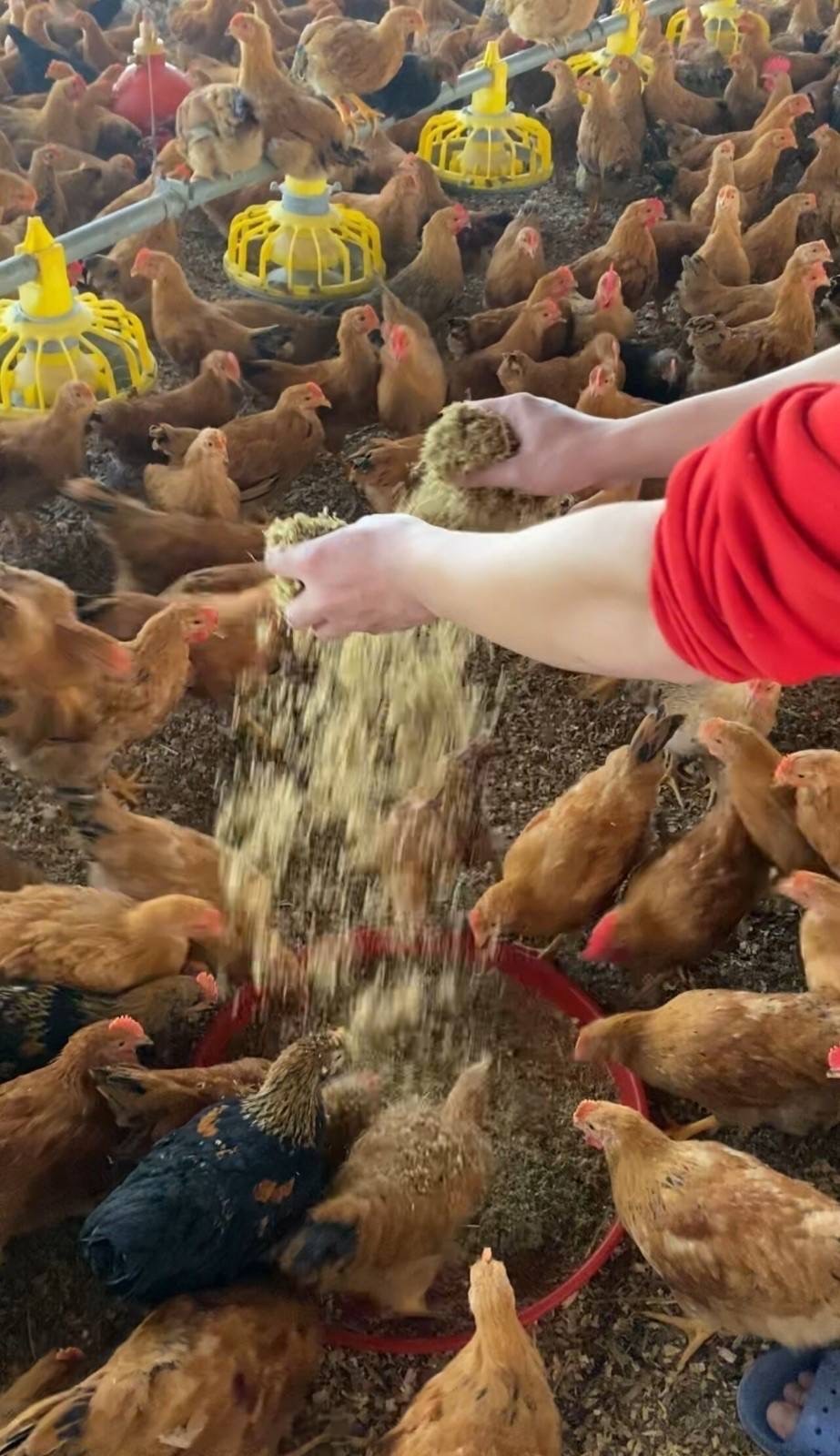 微信图片_20260305100229.jpg 微信图片_20260305100229.jpg