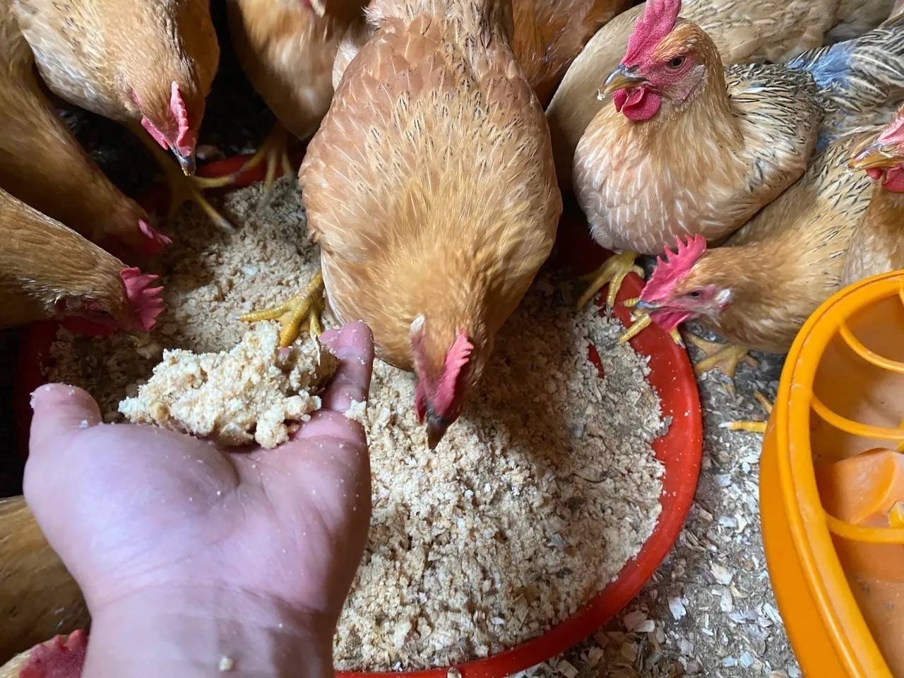 微信图片_20260305100249.jpg 微信图片_20260305100249.jpg