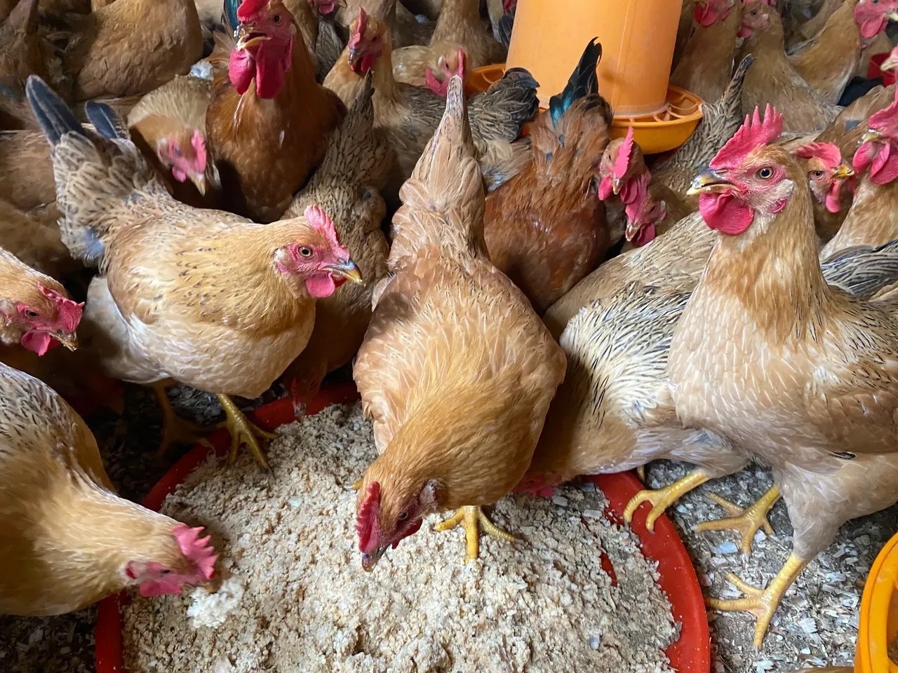 微信图片_20260305100224.jpg 微信图片_20260305100224.jpg