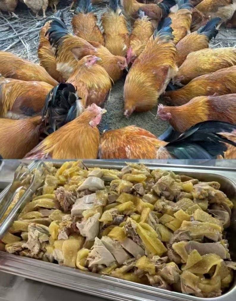 微信图片_20260305100258.jpg 微信图片_20260305100258.jpg