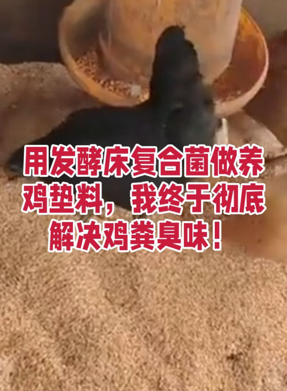 19522B3756E2F348570DF85CA640CC05.png 19522B3756E2F348570DF85CA640CC05.png