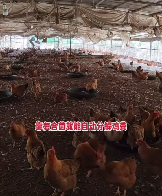 A6B4E0343BDD83DD1CA335E565923574.png A6B4E0343BDD83DD1CA335E565923574.png