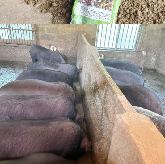 911d5cb4dd176c0d2e6b35743bd89812_17727840867300077.png 911d5cb4dd176c0d2e6b35743bd89812_17727840867300077.png