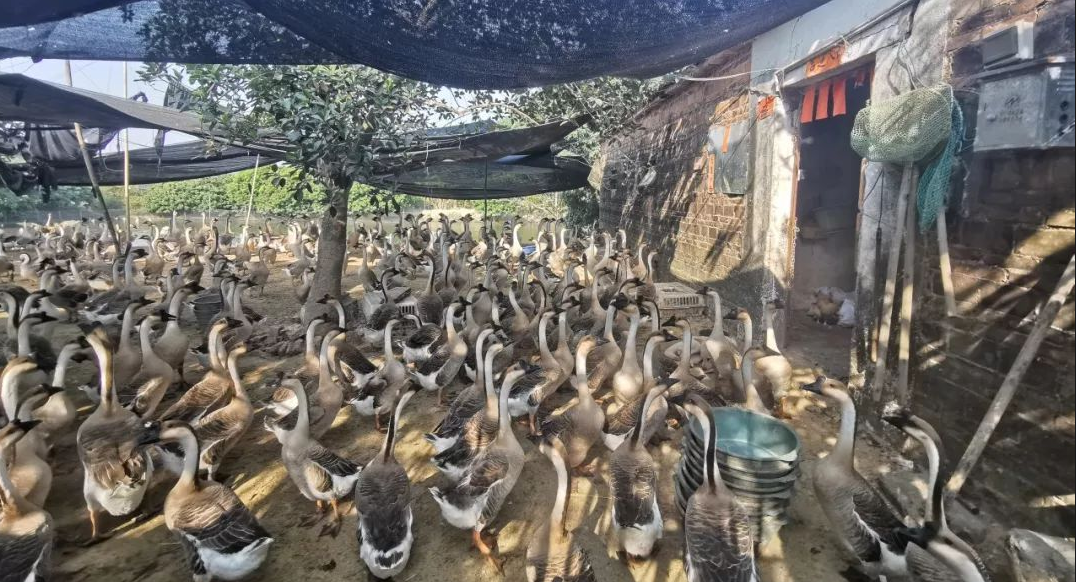 截图20260307103934.png 截图20260307103934.png