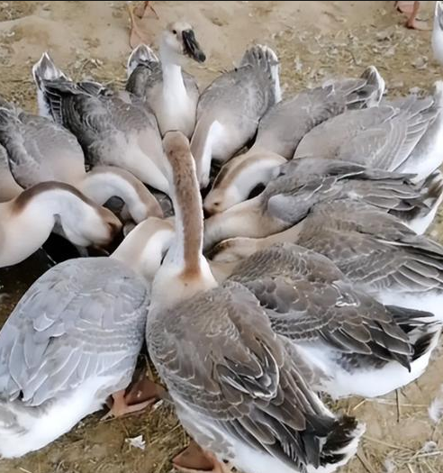 截图20260307105311.png 截图20260307105311.png