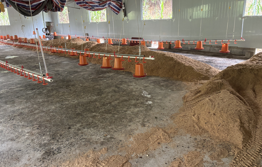 QQ图片20250226113415.png QQ图片20250226113415.png