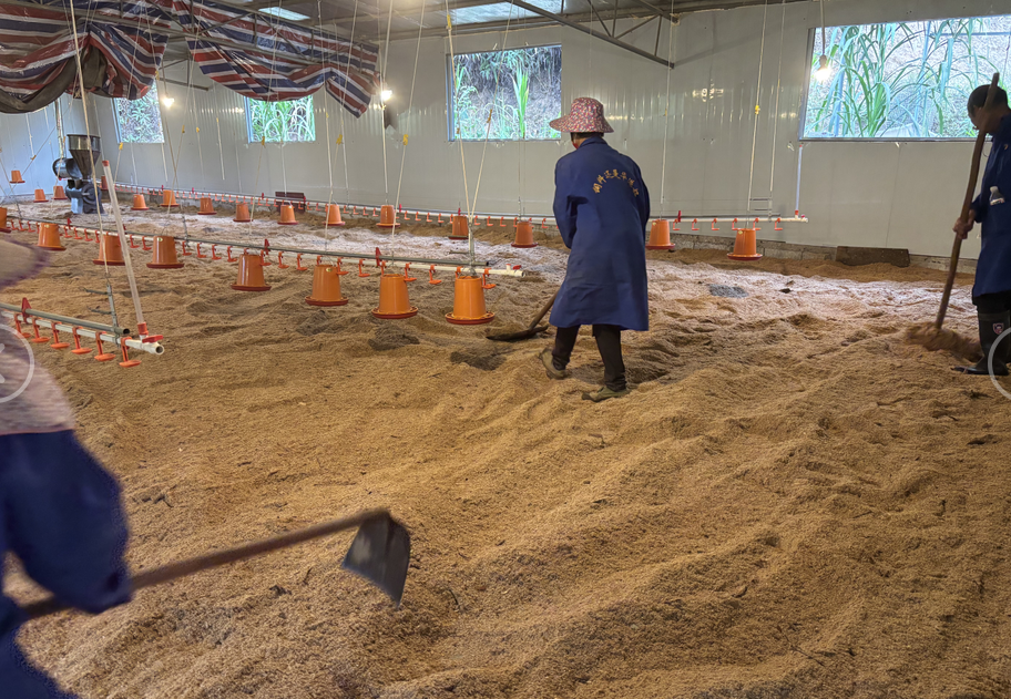 17358054941942319.png 17358054941942319.png