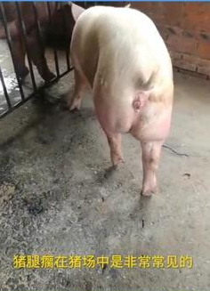 截图20260316091943.png 截图20260316091943.png