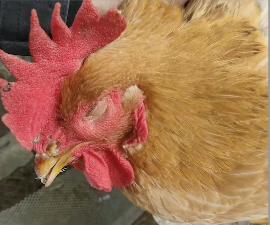 截屏2026-03-19 09.30.16.png