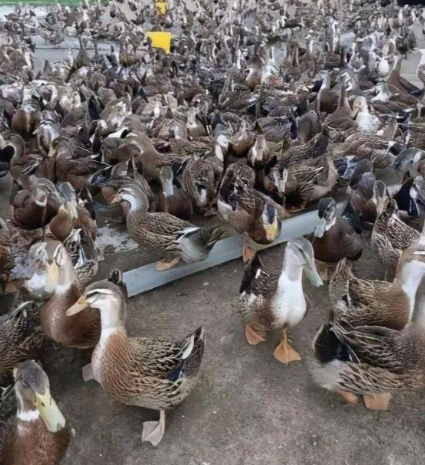 1773974336141015.png image.png