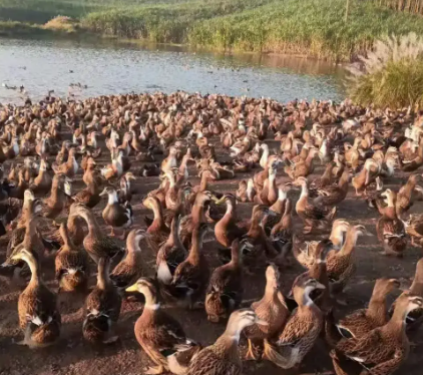 1773974211398884.png 1773974211398884.png