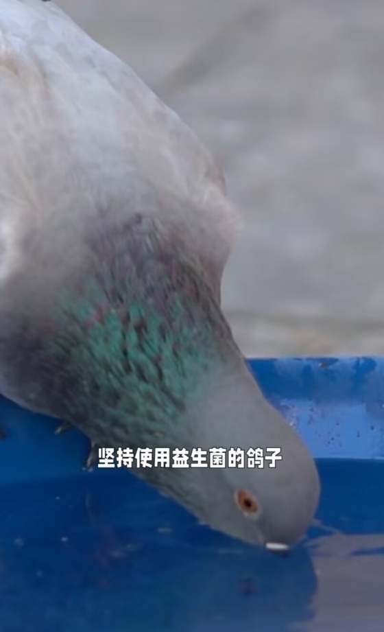 E03E80826FC875C2FDDE5E0252F5BABB.jpg E03E80826FC875C2FDDE5E0252F5BABB.jpg