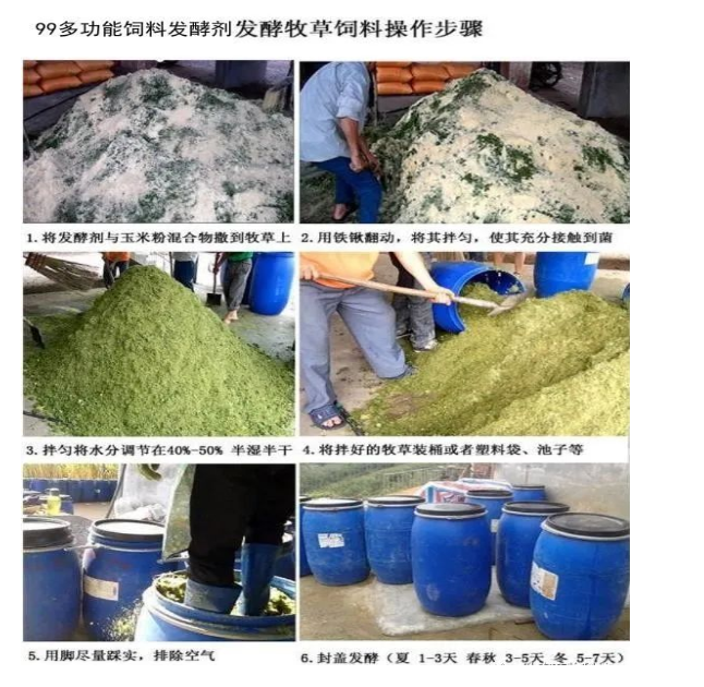 截图20260320095746.png 截图20260320095746.png