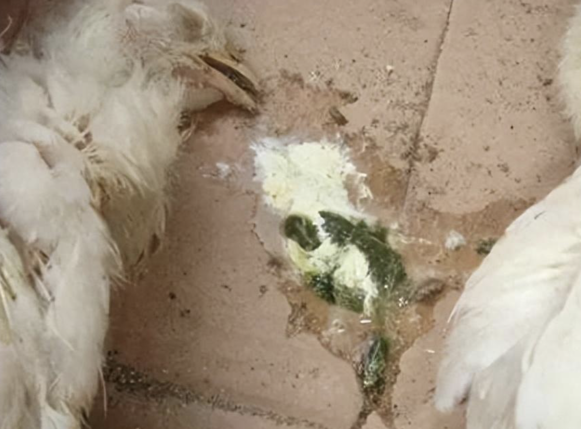 截屏2026-03-23 08.57.45.png