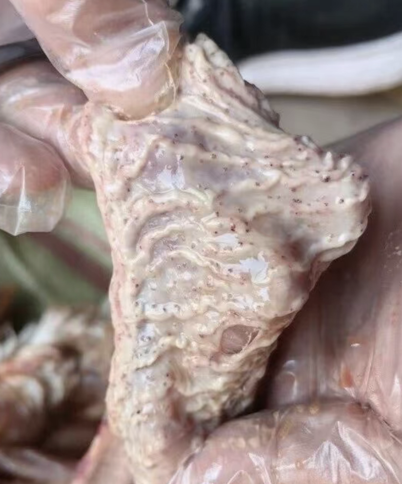 截屏2026-03-24 15.24.42.png