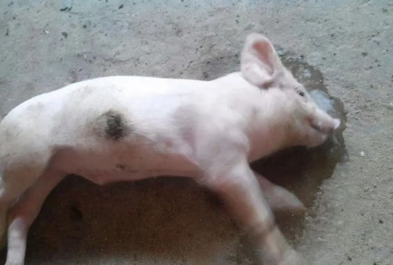 截图20260325091421.png 截图20260325091421.png