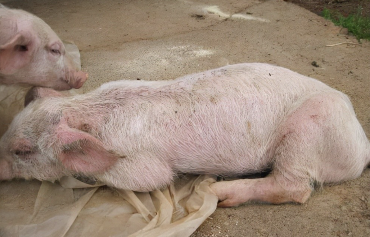 截屏2026-03-25 10.53.36.png 截屏2026-03-25 10.53.36.png