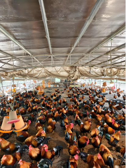 4c64883d-141e-468c-b652-0b05e1b47ed0.png 4c64883d-141e-468c-b652-0b05e1b47ed0.png