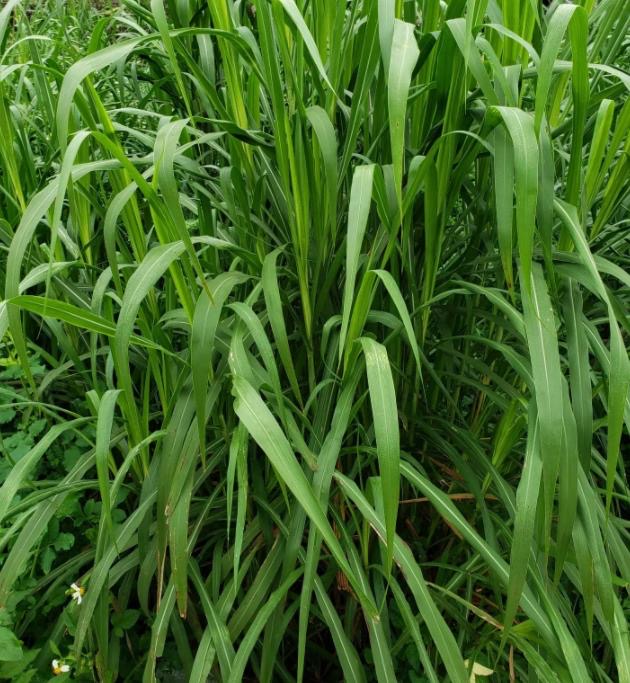 17289626906436140.jpg 17289626906436140.jpg