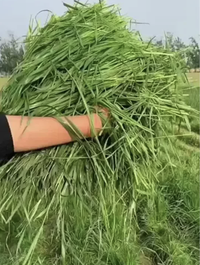 截屏2026-03-26 15.24.10.png