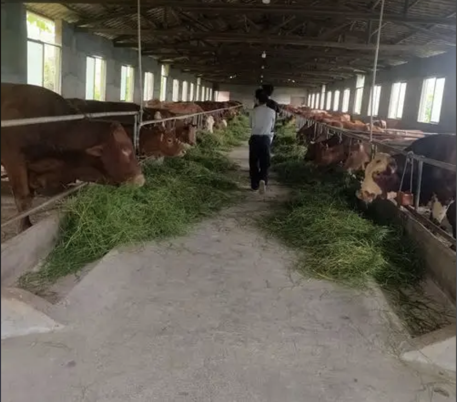 截屏2026-03-26 15.30.15.png