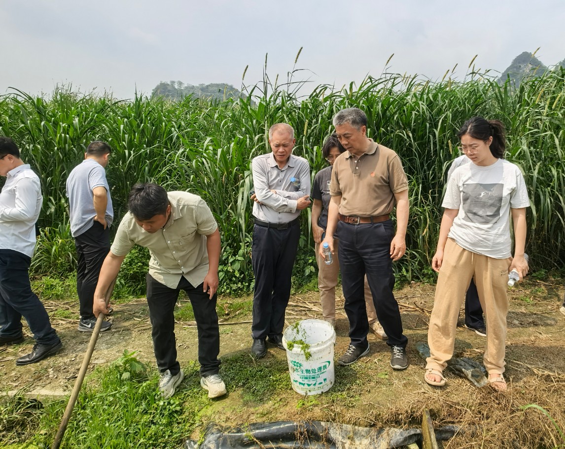 赵海老师莅临广西助农生态养殖基地调研10.jpg