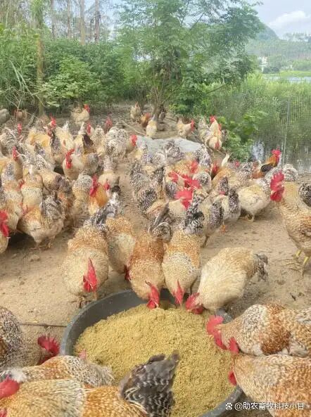 ed4cbb7c26e6e5f56562b85dafb8b2fb.jpg ed4cbb7c26e6e5f56562b85dafb8b2fb.jpg