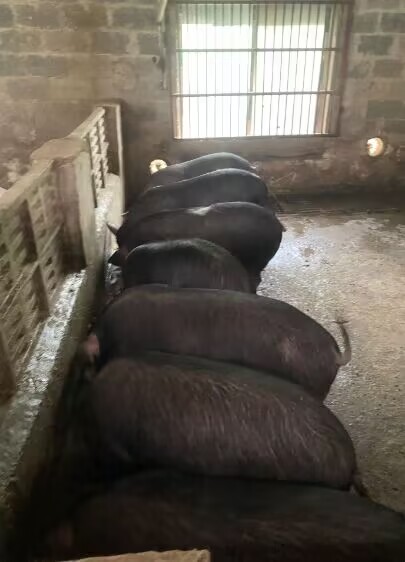 6d9288cb086b3a48ce847c039ea2c5ab.jpg 6d9288cb086b3a48ce847c039ea2c5ab.jpg