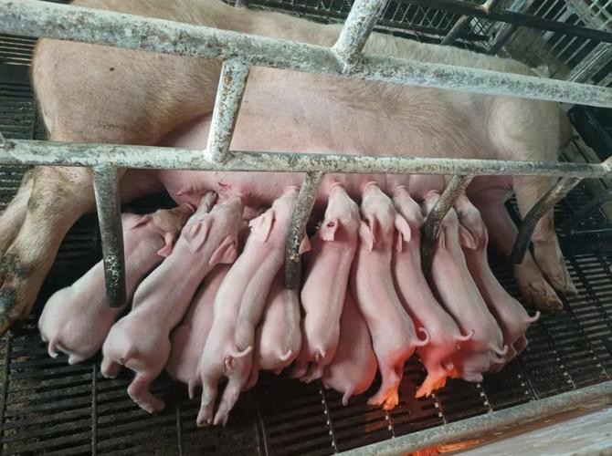 微信图片_20260330101038.jpg 微信图片_20260330101038.jpg