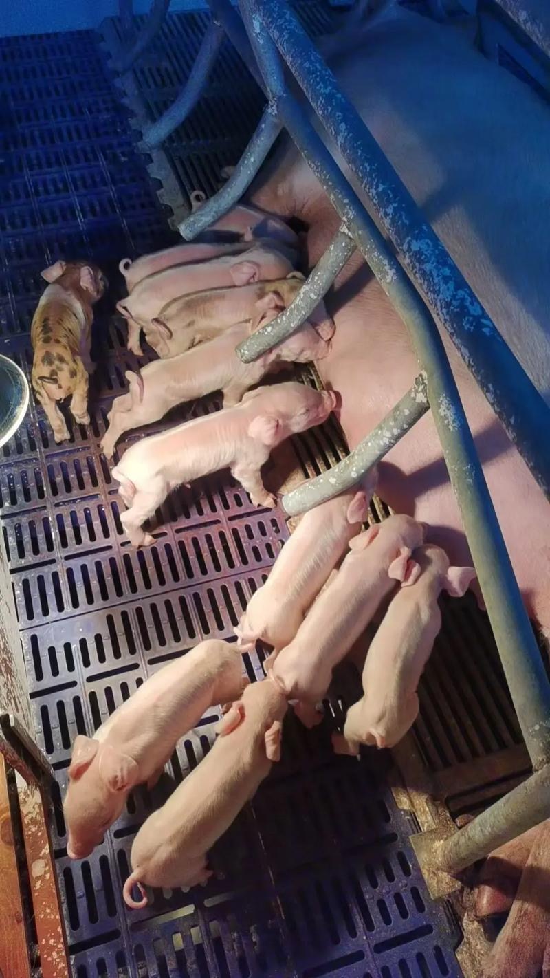 微信图片_20260330101035.jpg 微信图片_20260330101035.jpg