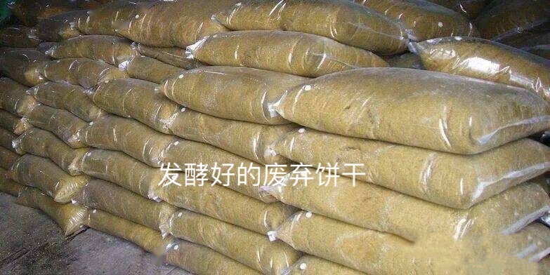 1713408445647327.jpg 1713408445647327.jpg