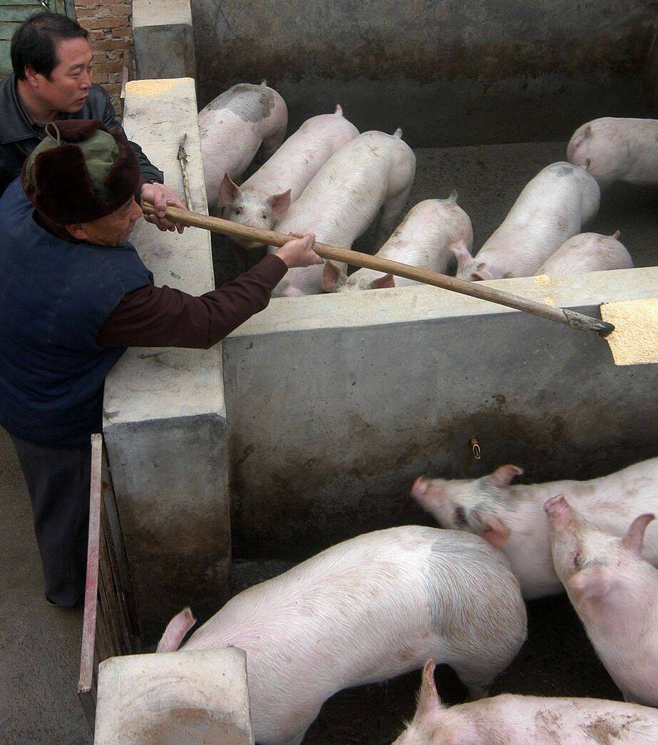 7eac189f747c0b1997adb4eb2755a7e6_720.jpg 7eac189f747c0b1997adb4eb2755a7e6_720.jpg