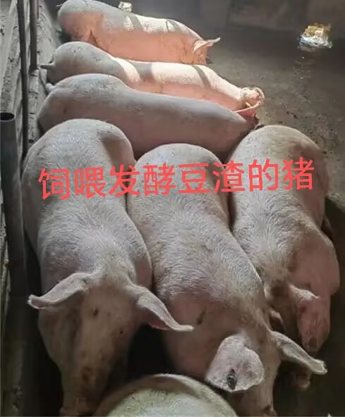 3eff5e7e4dcea06dbb6003ab60c53882.jpg 3eff5e7e4dcea06dbb6003ab60c53882.jpg