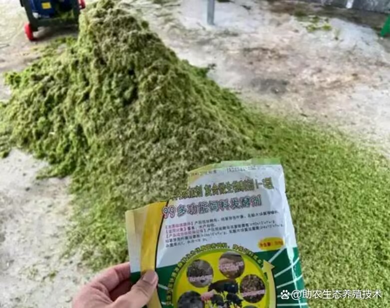 7e3ba6d47b7366423f3d0b30f66536f1.jpeg 7e3ba6d47b7366423f3d0b30f66536f1.jpeg