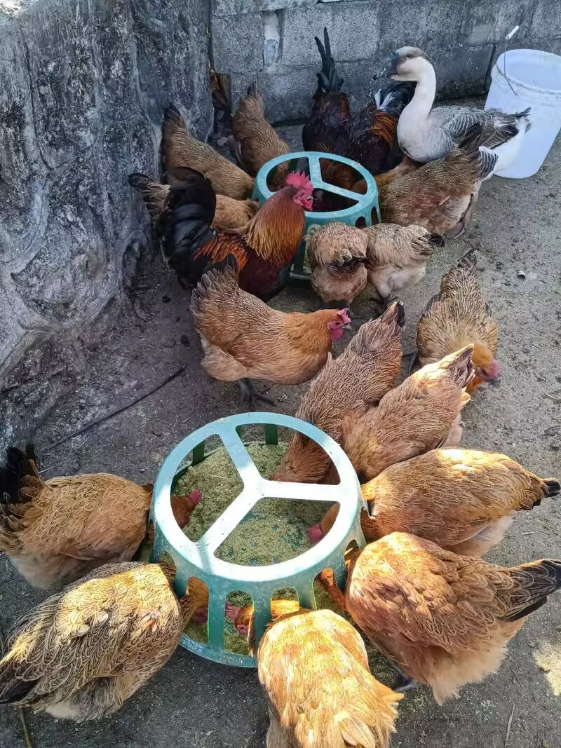 0641dcda4ff9bbe175971f547240518f_720.jpeg 0641dcda4ff9bbe175971f547240518f_720.jpeg