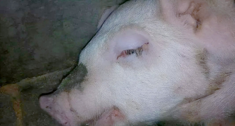 微信截图_20260409092502.jpg 微信截图_20260409092502.jpg