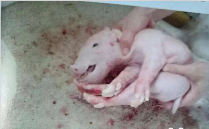 9040151d-5f48-4c15-9138-05c6bd25bb04.png 9040151d-5f48-4c15-9138-05c6bd25bb04.png