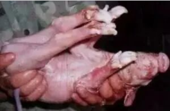 fae2e755-368a-448f-97e6-c74cc7c5a65f.png fae2e755-368a-448f-97e6-c74cc7c5a65f.png