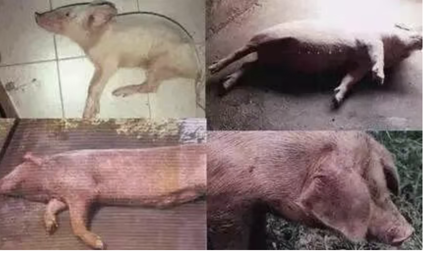 截屏2026-04-09 15.26.37.png 截屏2026-04-09 15.26.37.png