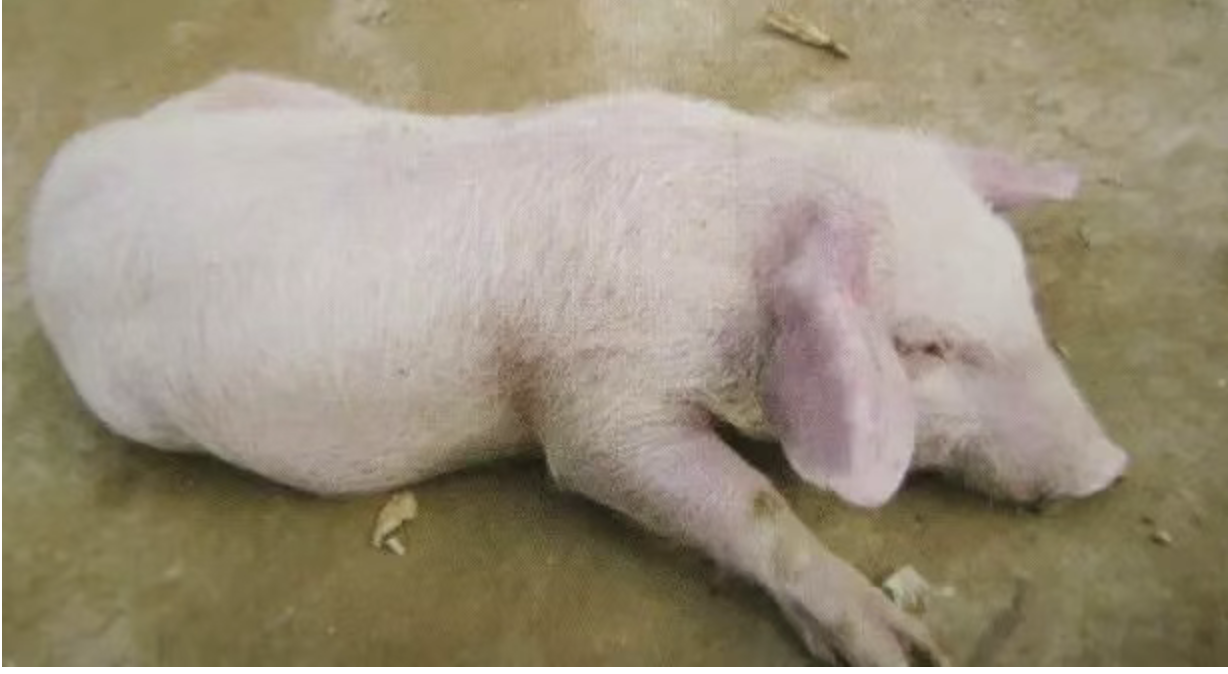 截屏2026-04-09 15.27.37.png 截屏2026-04-09 15.27.37.png