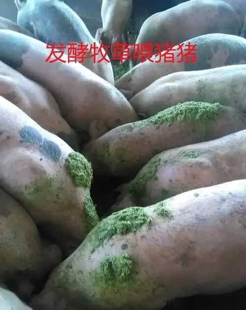 30719138fbaa2739c19ca273dfde1e15.jpg 30719138fbaa2739c19ca273dfde1e15.jpg