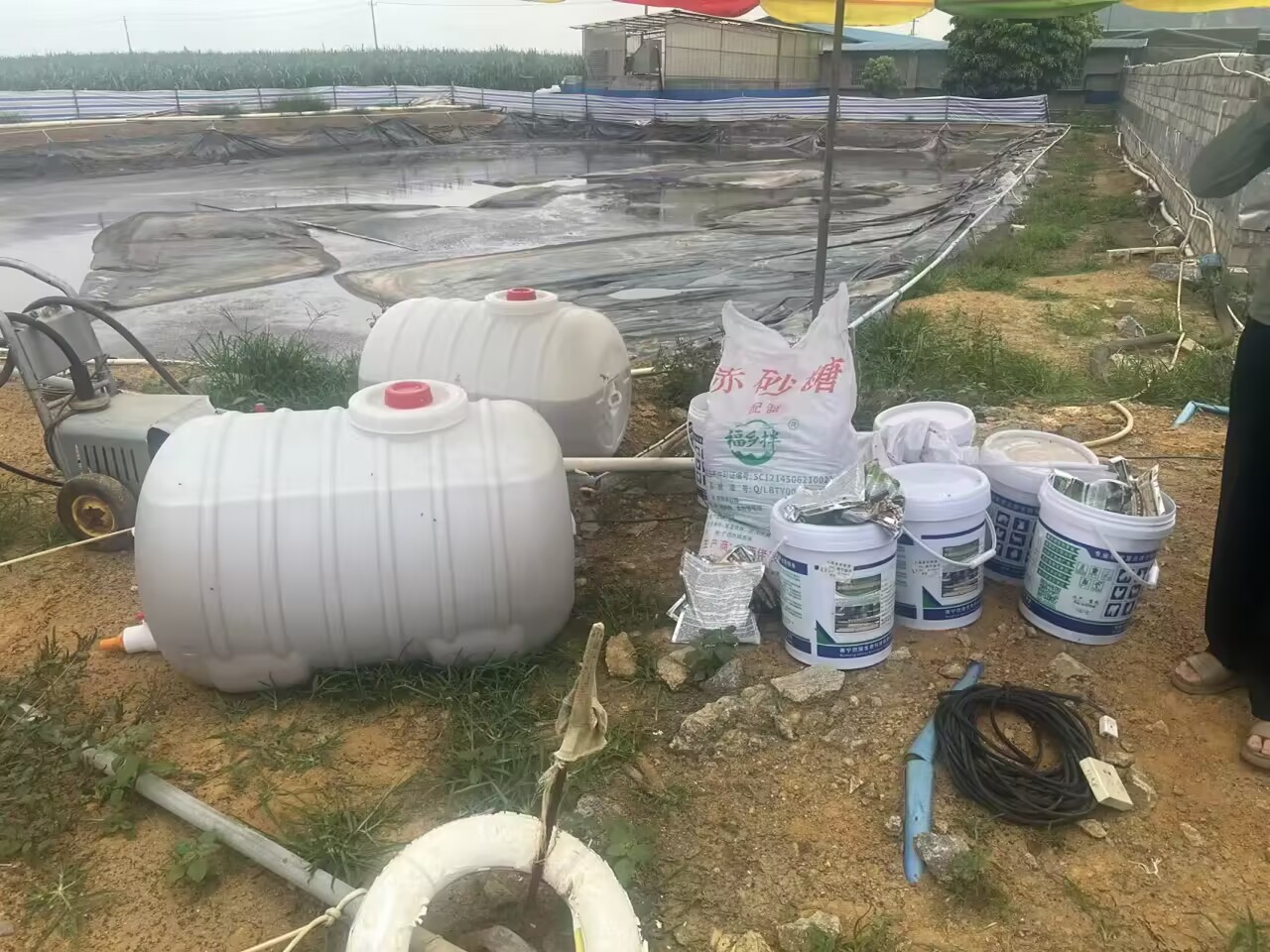 549c2a20132d6b643a219ed72a5d61a0_720.jpg 549c2a20132d6b643a219ed72a5d61a0_720.jpg