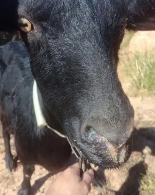 微信截图_20260413092310.jpg 微信截图_20260413092310.jpg