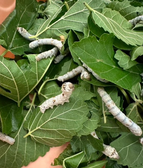 E120F924A0404351DBEDEE1257E8F9CE.png E120F924A0404351DBEDEE1257E8F9CE.png