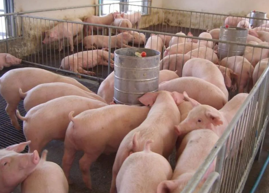 截图20260414154358.png 截图20260414154358.png