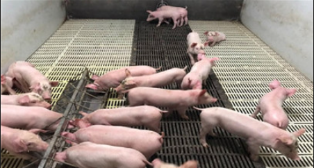 截图20260414154951.png 截图20260414154951.png