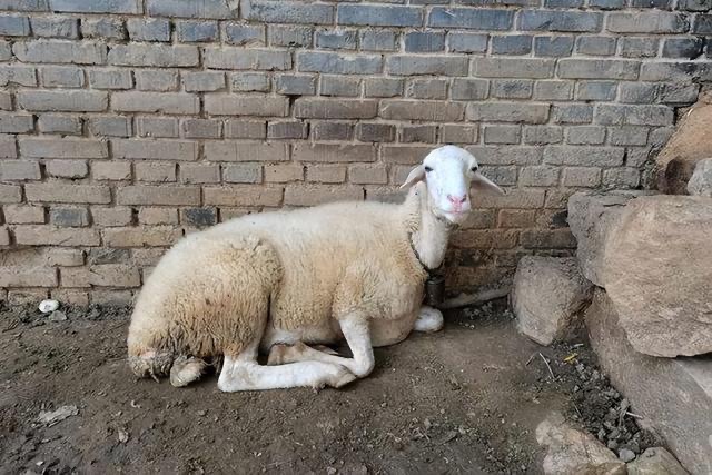 微信图片_20260415091635.jpg 微信图片_20260415091635.jpg